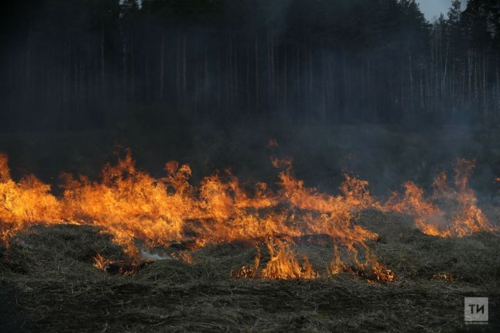 В РТ объявили штормовое предупреждение из-за лесных пожаров