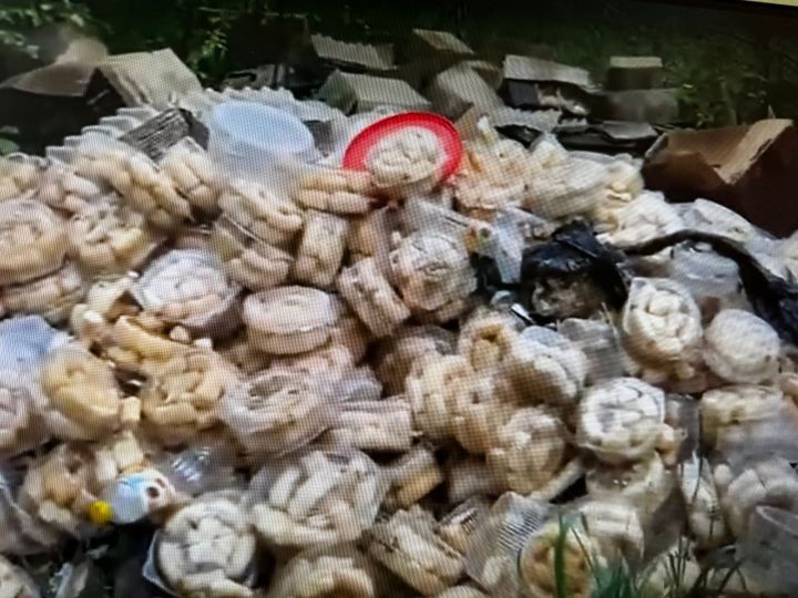В казанской лесопосадке обнаружена свалка из баурсака