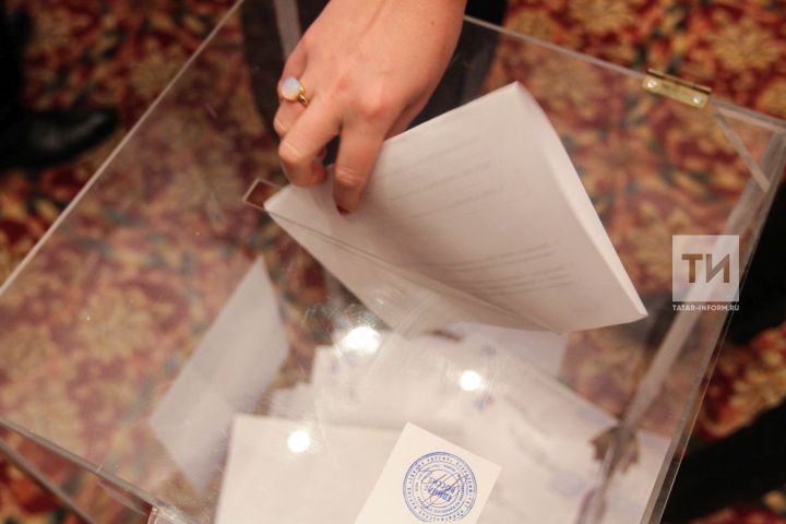 Выборы — 2024: уведомление