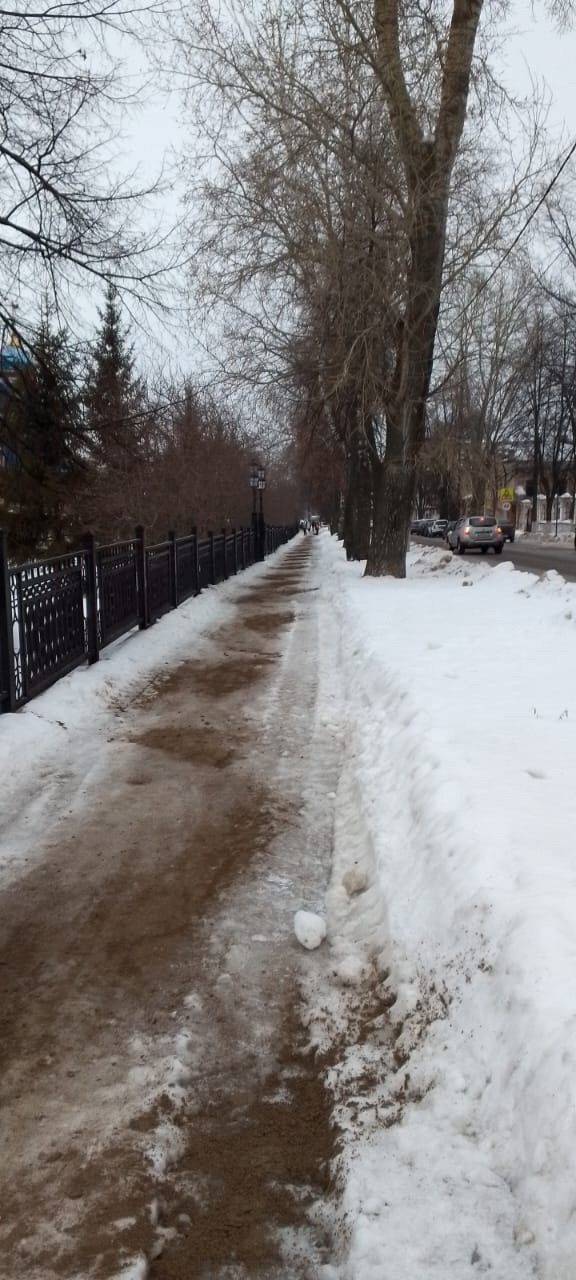 В Чистополе коммунальщики очистили от снега более тысячи километров дорог