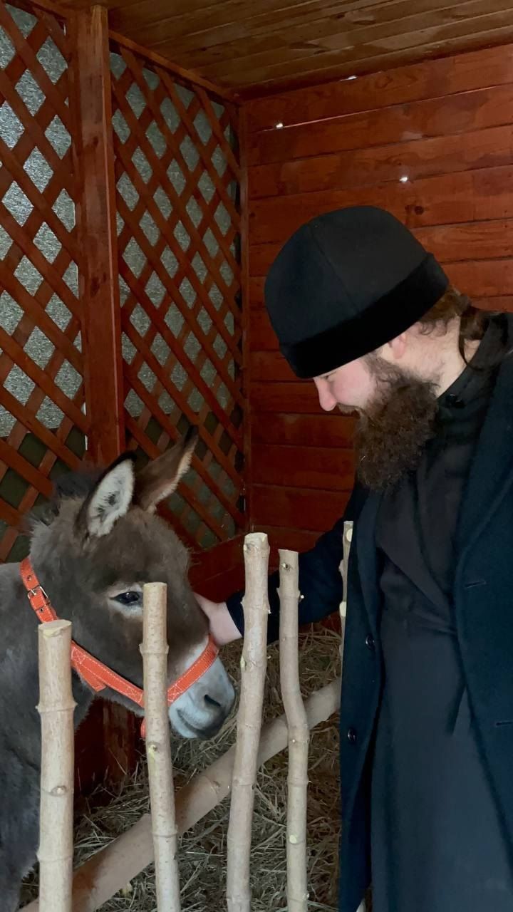 В вертепе Казанского храма Чистополя верующих встречает живой ослик