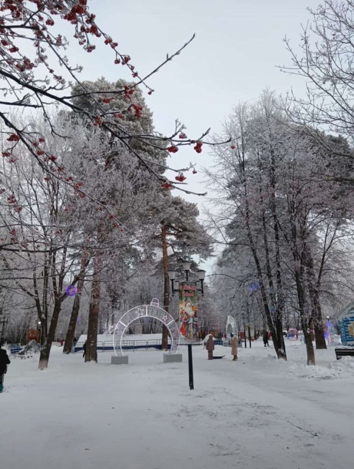 До 1 градуса тепла ожидается сегодня в Чистополе