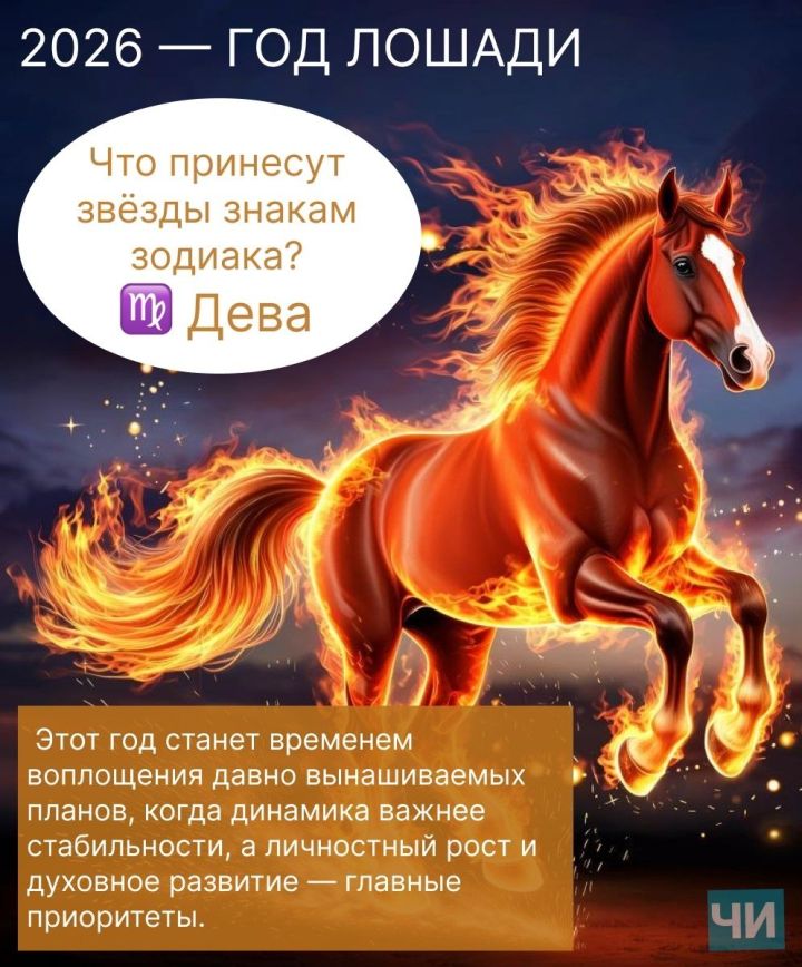 2026: Что принесут звёзды знакам зодиака?