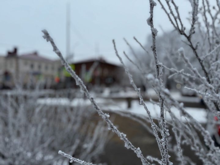 Какая погода ожидает чистопольцев сегодня