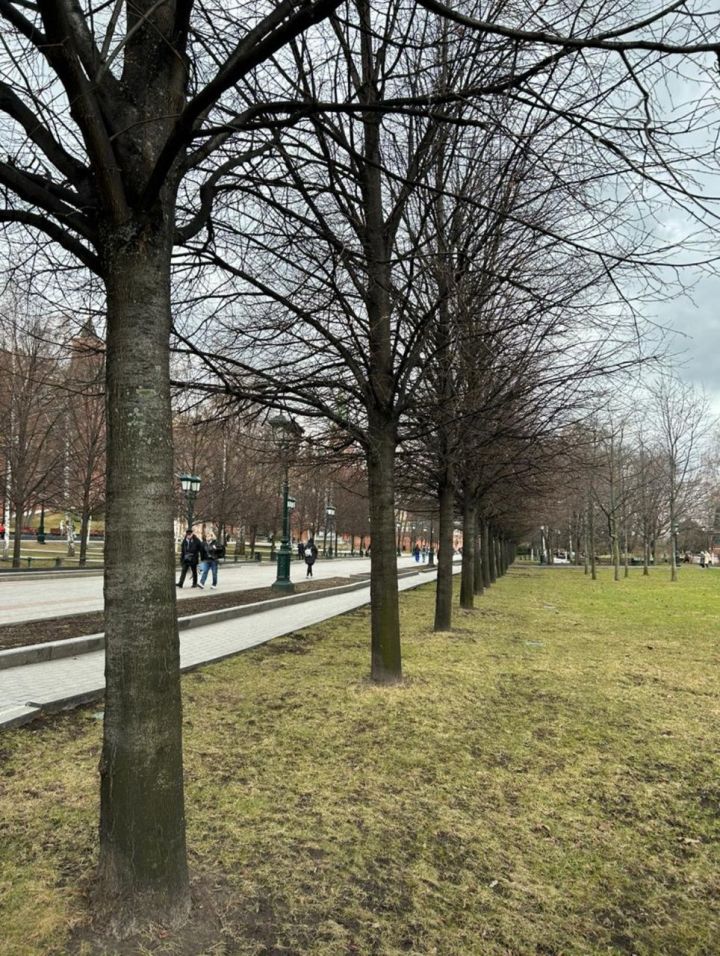 Аномально теплая погода в Татарстане: до +16°C в последний день марта