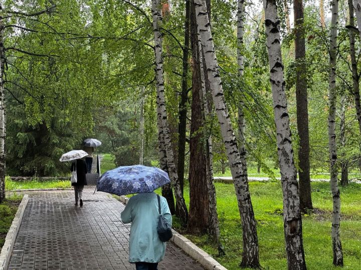 В Татарстан придут дожди