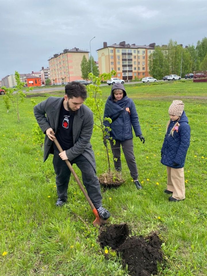 Деревья добра: экологическая акция у мечети «Фатиха»