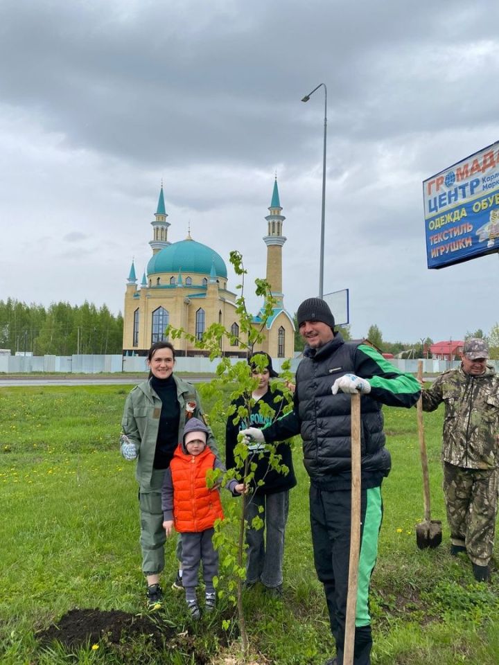 Деревья добра: экологическая акция у мечети «Фатиха»