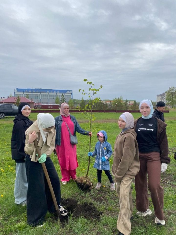 Деревья добра: экологическая акция у мечети «Фатиха»