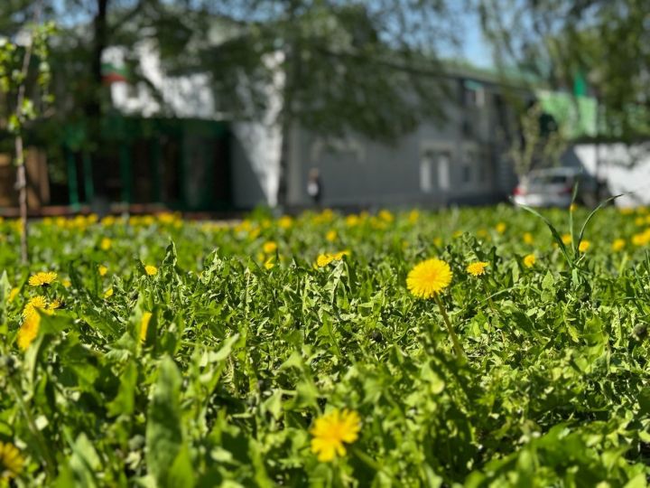 До 21 градуса тепла ожидается в Татарстане