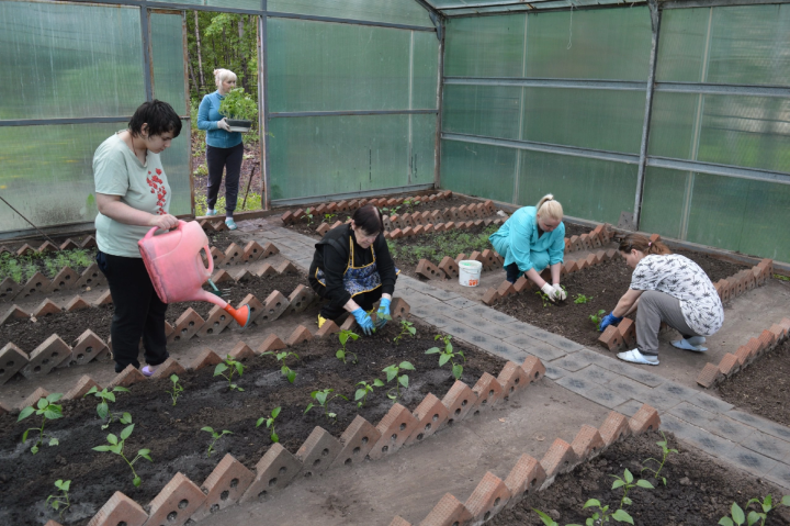 Совместными руками: жители «Юлдаша» обустроили теплицу