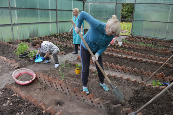 Совместными руками: жители «Юлдаша» обустроили теплицу