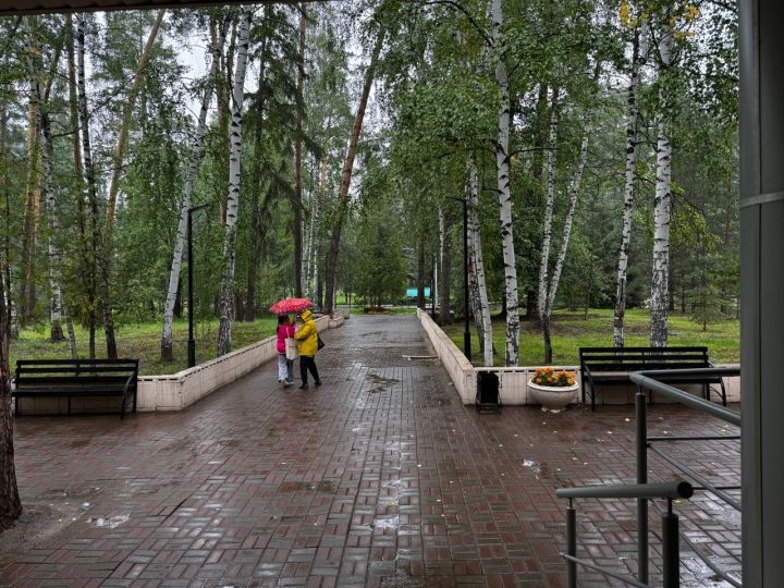 Метеоролог сообщил, что май в Татарстане может побить рекорд по осадкам