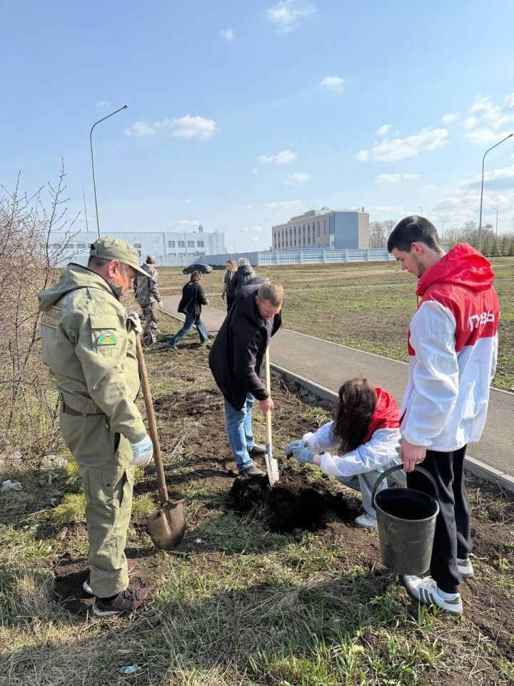 Участники Движения Первых активно участвуют в экологических мероприятиях