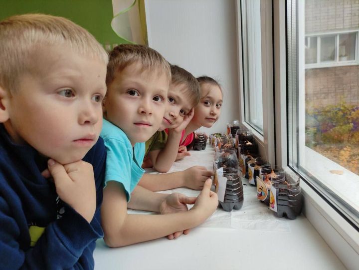 Участники Движения Первых активно участвуют в экологических мероприятиях