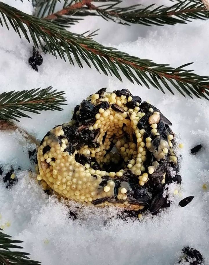 Участники Движения Первых активно участвуют в экологических мероприятиях