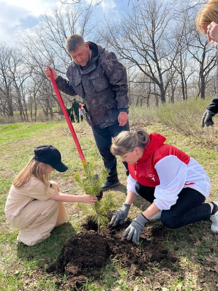 Участники Движения Первых активно участвуют в экологических мероприятиях