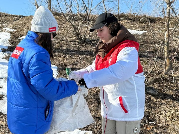 Участники Движения Первых активно участвуют в экологических мероприятиях
