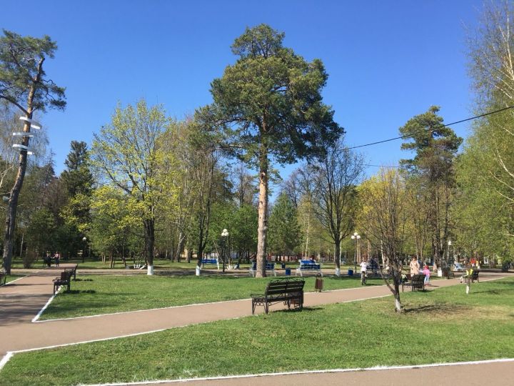 Погода в Чистополе сегодня: солнечно и тепло