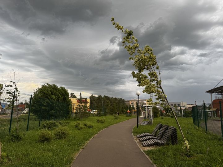 В Татарстан придут дожди и грозы