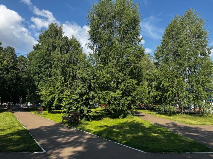 Какая погода ожидает чистопольцев сегодня