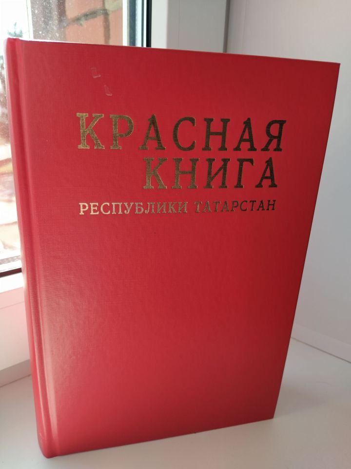 Какие редкие птицы и растения встречаются в Чистопольском районе