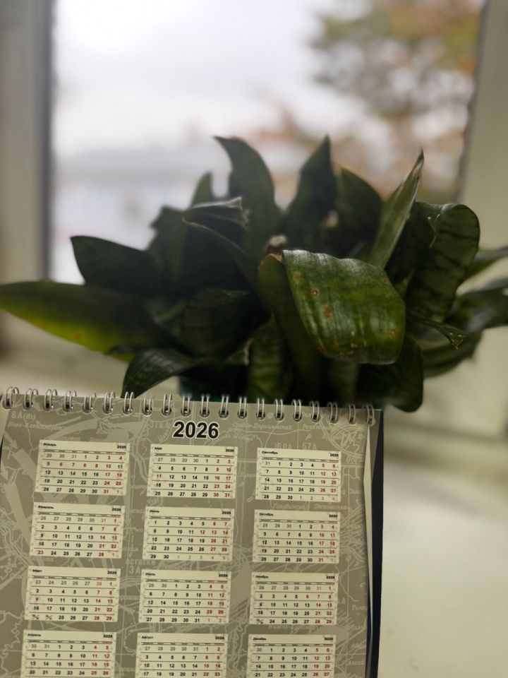 Новогодние каникулы в 2026 году продлятся 12 дней