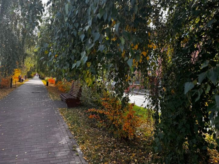 Сколько простоит аномальная осень в Татарстане