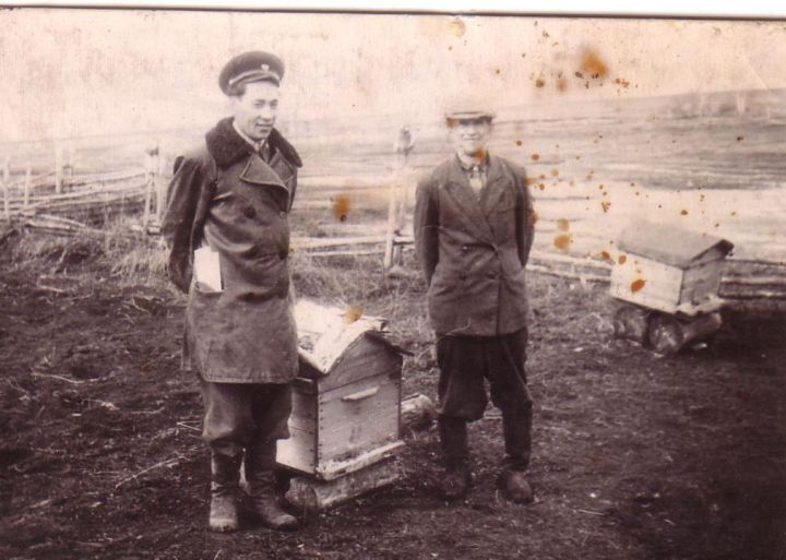 Родословная земли Предтечинской: хроника исчезнувшей деревни. Часть 1