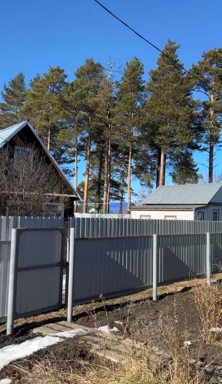 Дачников предупредили о штрафах за борщевик и дали советы по весенним работам