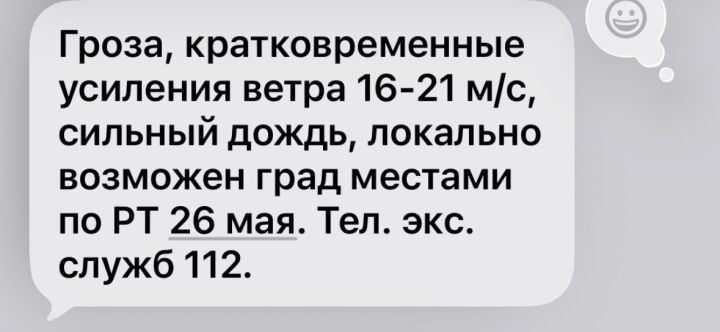 Жителей Татарстана предупредили о непогоде