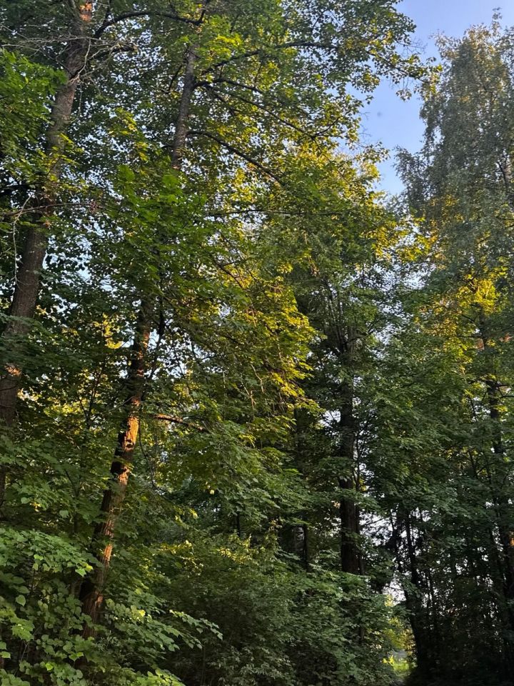 В Татарстане предупредили о риске природных пожаров в августе