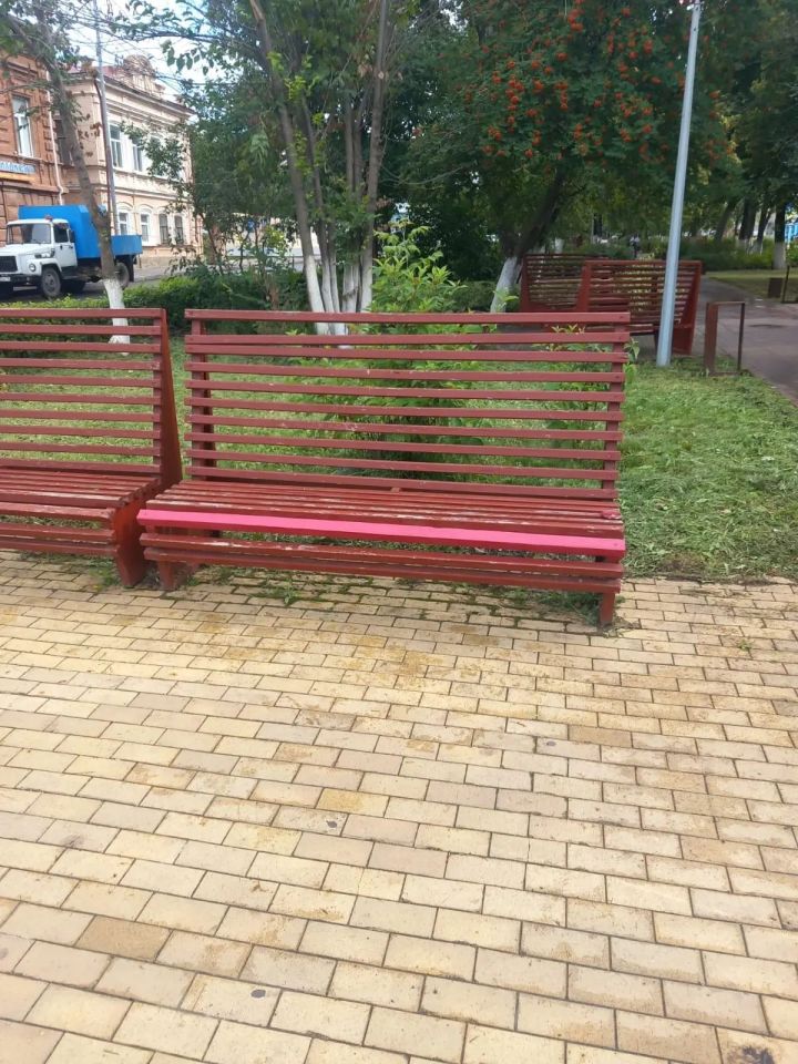 На бульваре Карла Маркса привели в порядок городские скамейки