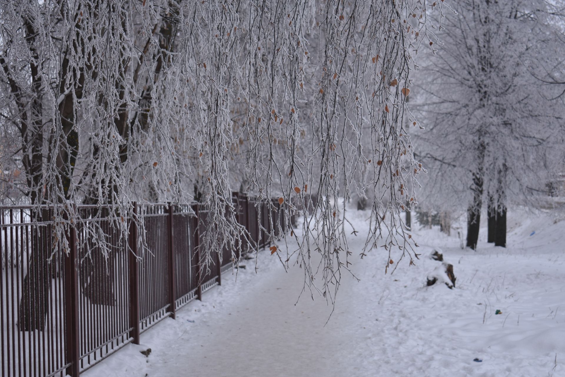 Москва какой будет зима. Зима в Татарстане. Какая будет зима. Городской сад Курган зимой 2023. Какая будет зима погода.