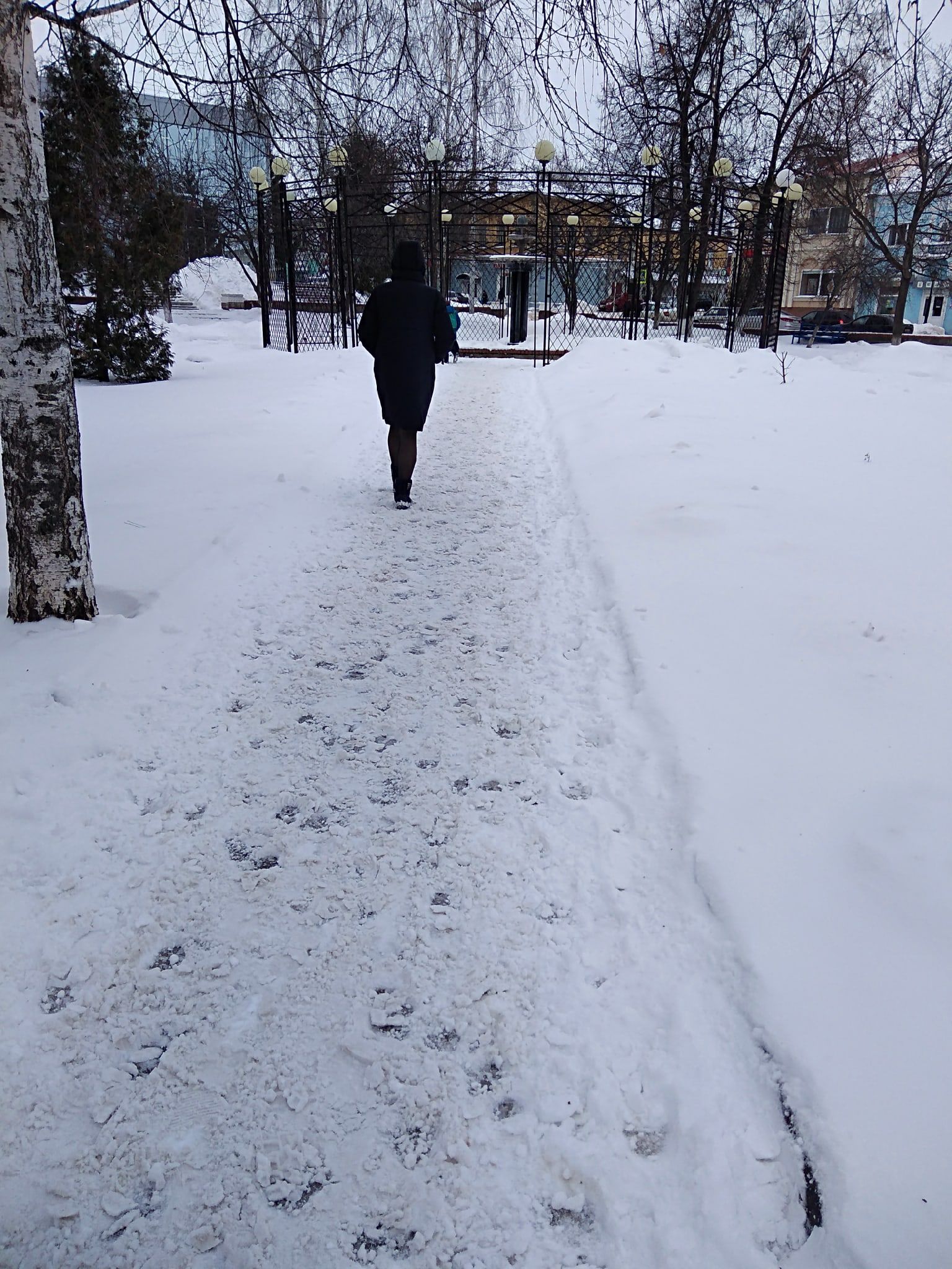 Погода чистополь на дня. Климат Чистополя. Погода в Чистополе. Погода в Чистополе на сегодня. Погода Чистополь.