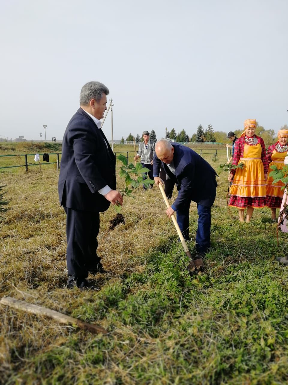 100 лип и 75 каштанов посадили в чистопольском селе