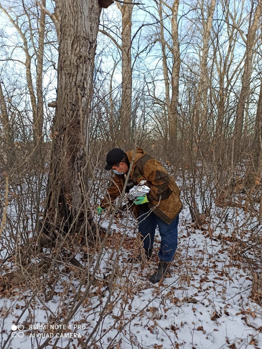 В лесах Чистопольского района разложили брикеты с вакциной  для диких животных