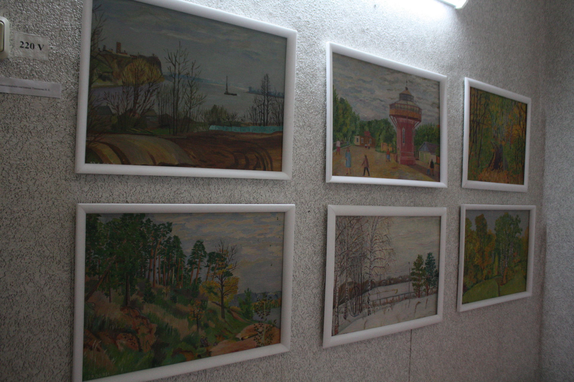 Чистопольцы увидели картины местных художников (Фоторепортаж)