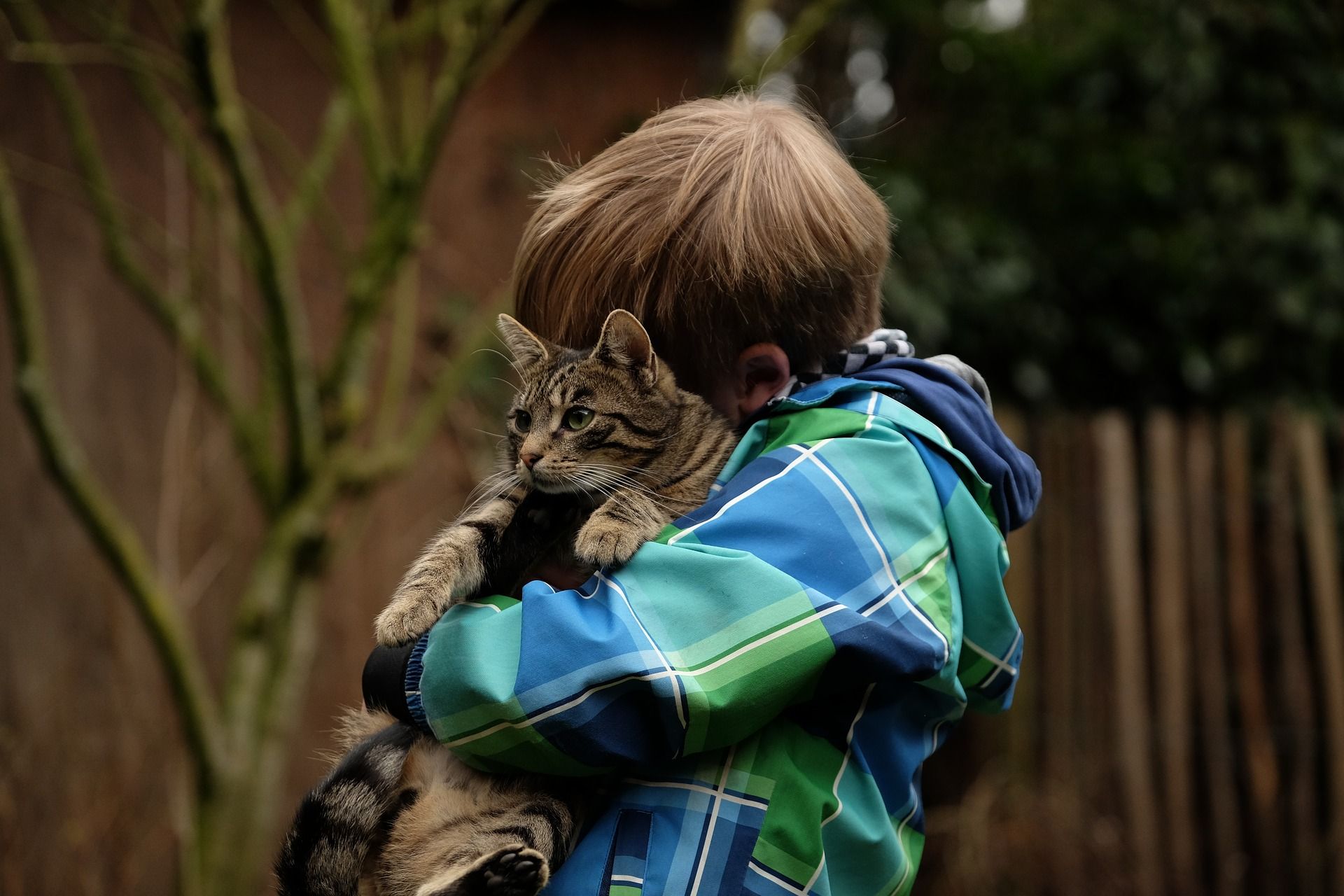 Включи кот пацан. Кошка для детей. Кот обнимает. Мальчик с котом.