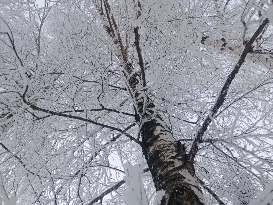 В Чистополе – сказочно красиво (фоторепортаж)