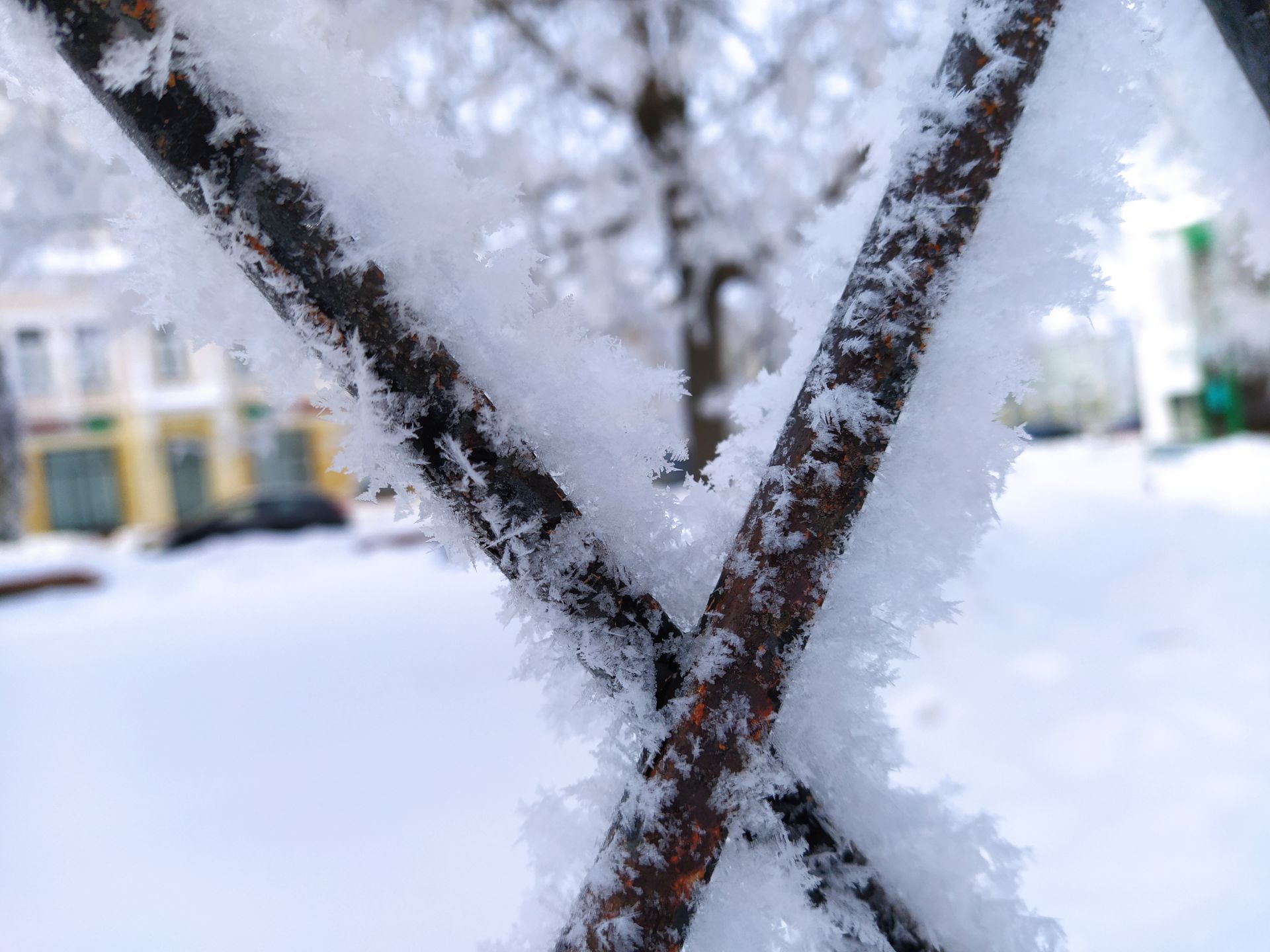 В Чистополе – сказочно красиво (фоторепортаж)