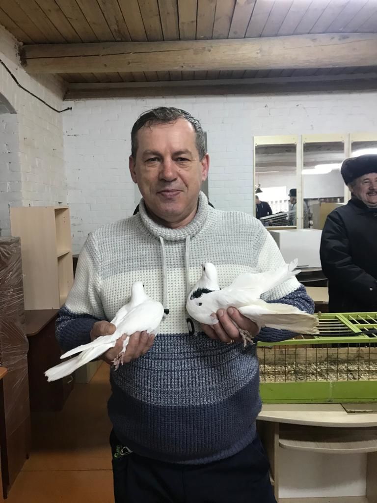 В Чистополе собрались голубеводы со всего Татарстана (Фоторепортаж)