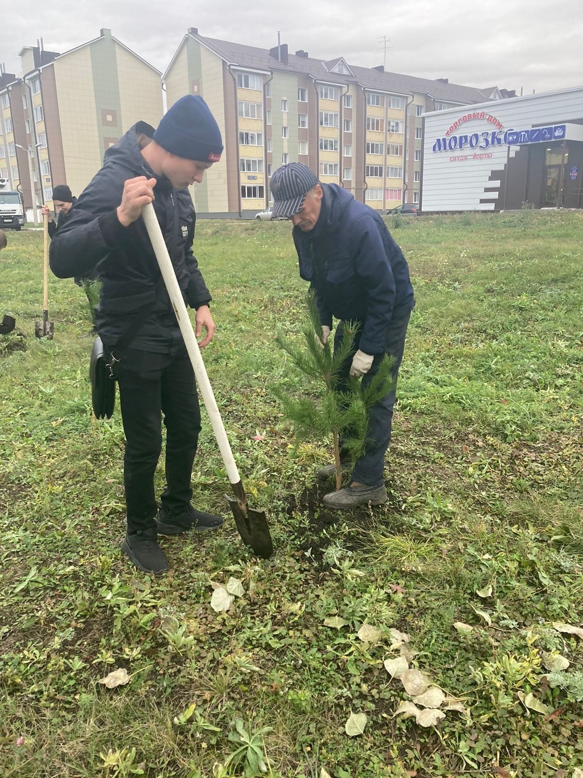 Чистопольцы посадили более 170 молодых деревьев