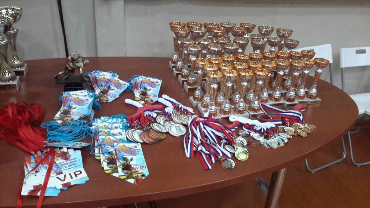 Чистопольские борцы завоевали призовые места на всероссийских соревнованиях