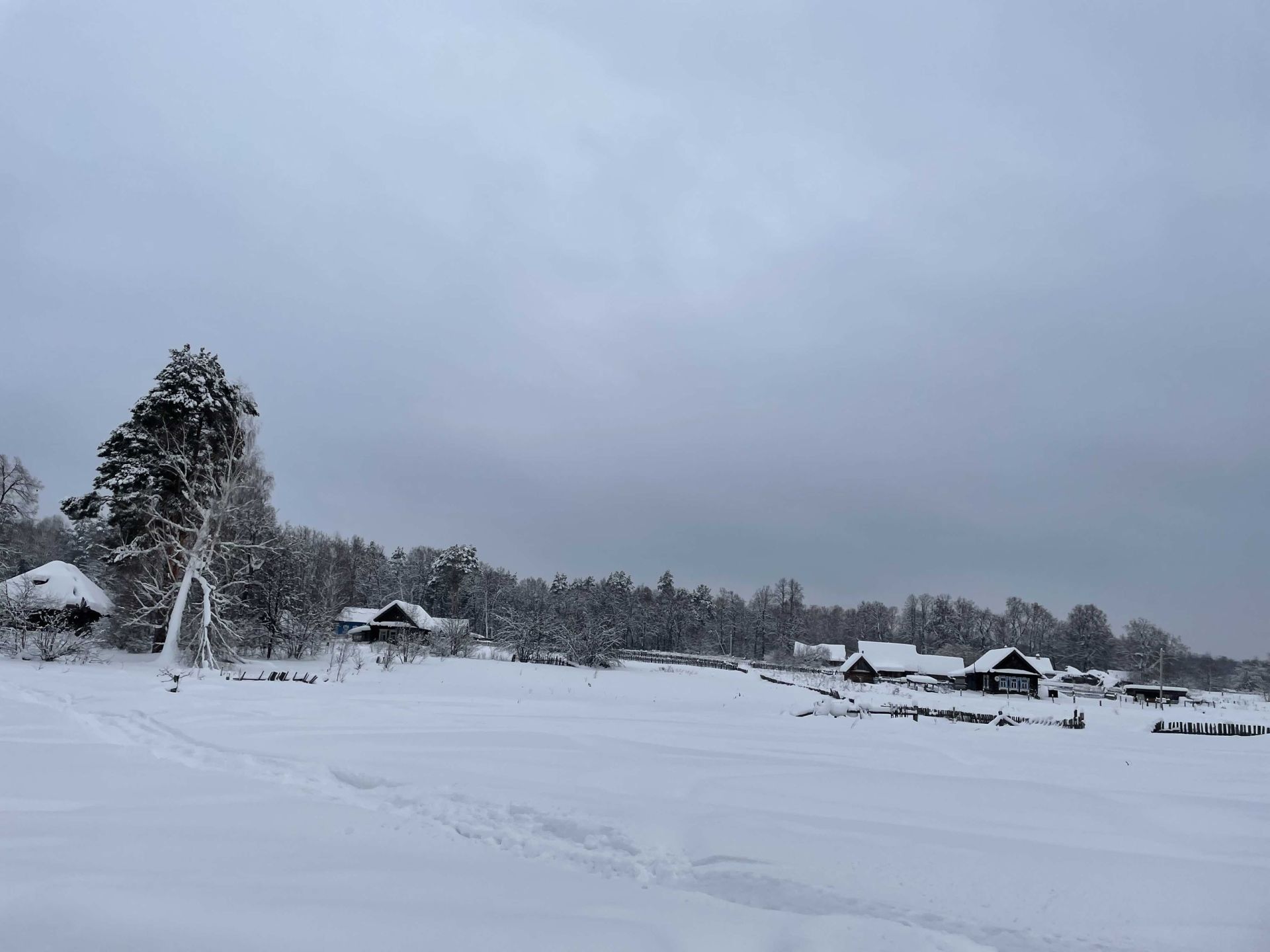 25 февраля. Февраль -таяние снега. 25 Февраля фото. Фото 25 февраля Алексеев день.