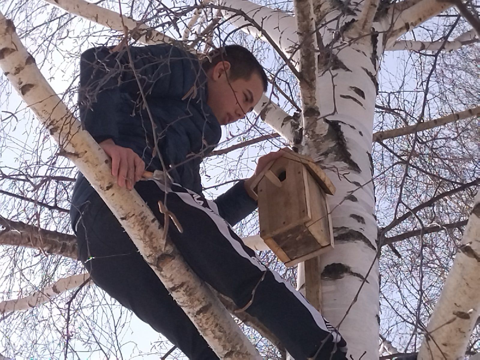 К Дню птиц: жители чистопольского села смастерили домики для пернатых