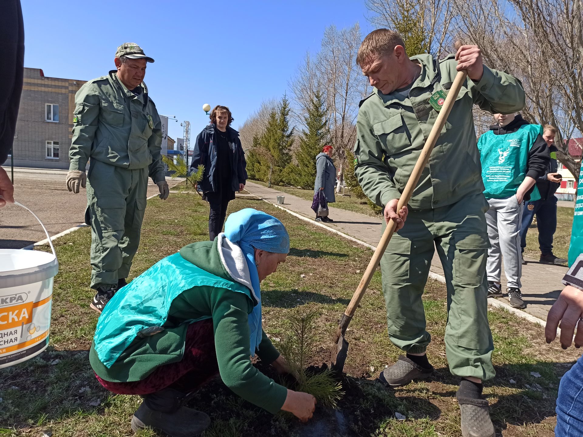 В день рождения природного заказника «Чистые луга» чистопольцы посадили более 30 молодых сосен