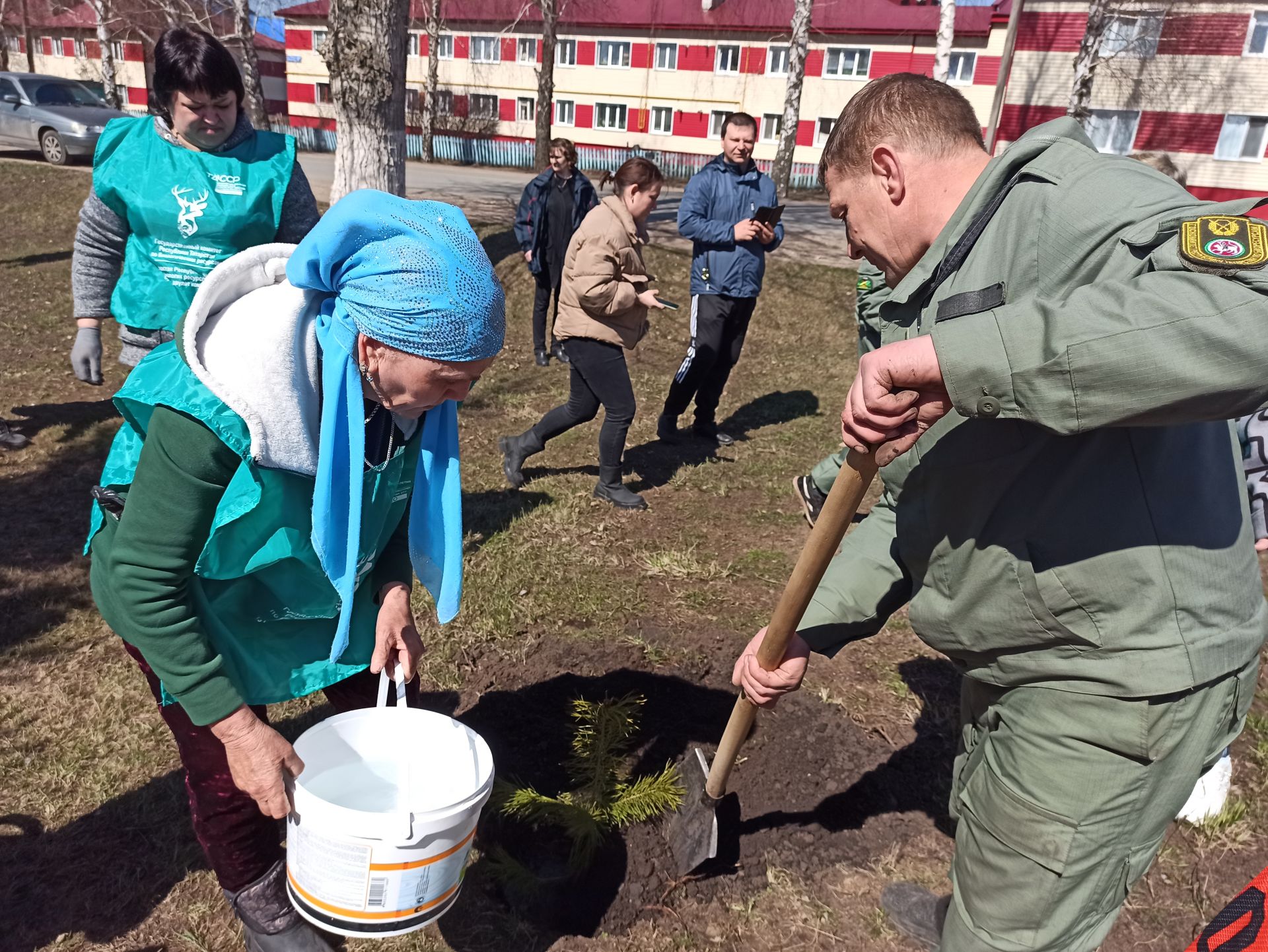 В день рождения природного заказника «Чистые луга» чистопольцы посадили более 30 молодых сосен