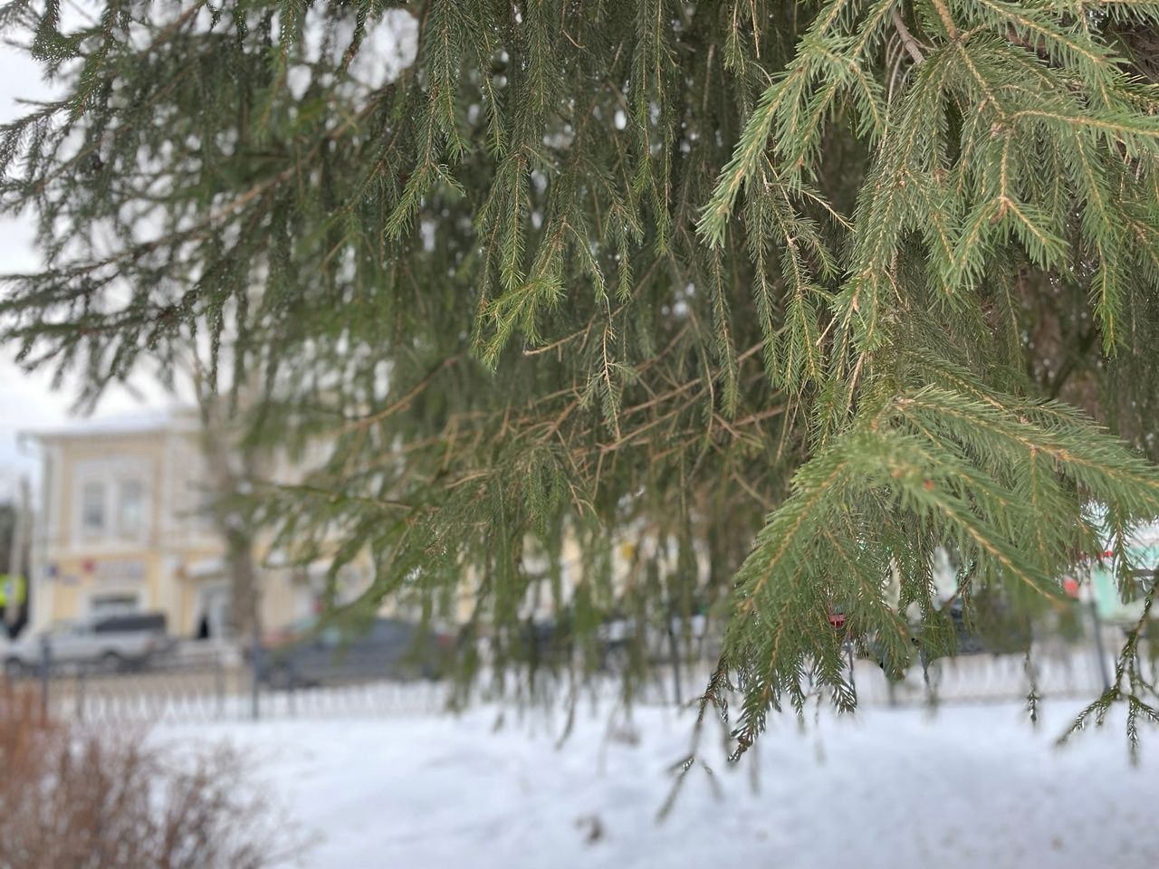 22 января: Чем знаменателен день