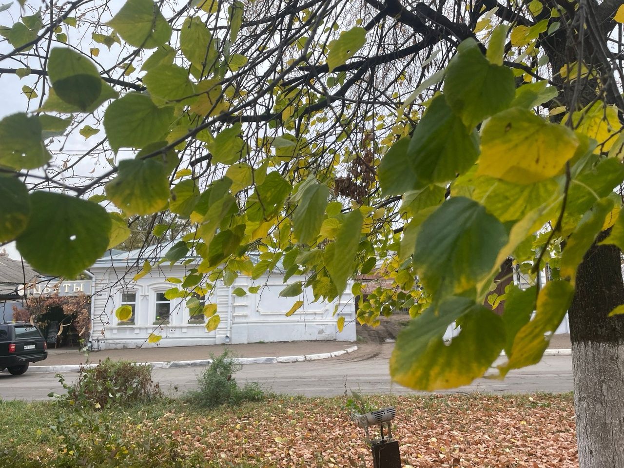 К концу недели в Татарстане ожидается до 12 градусов тепла